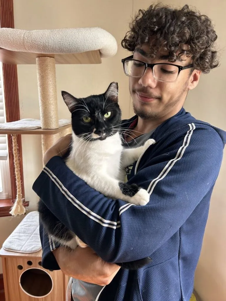 A young person with curly hair and glasses wearing a blue sweater with two white stripes holds a cat with black fur on its face and white fur on its body, with a cat tree in the background.