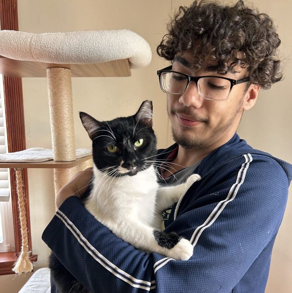 A young person with curly hair and glasses wearing a blue sweater with two white stripes holds a cat with black fur on its face and white fur on its body, with a cat tree in the background.